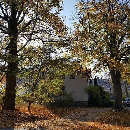 Nr 2 W Starym Nadleśnictwie